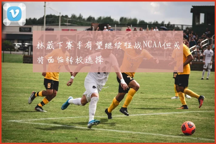 林葳下赛季有望继续征战NCAA但或将面临转校选择
