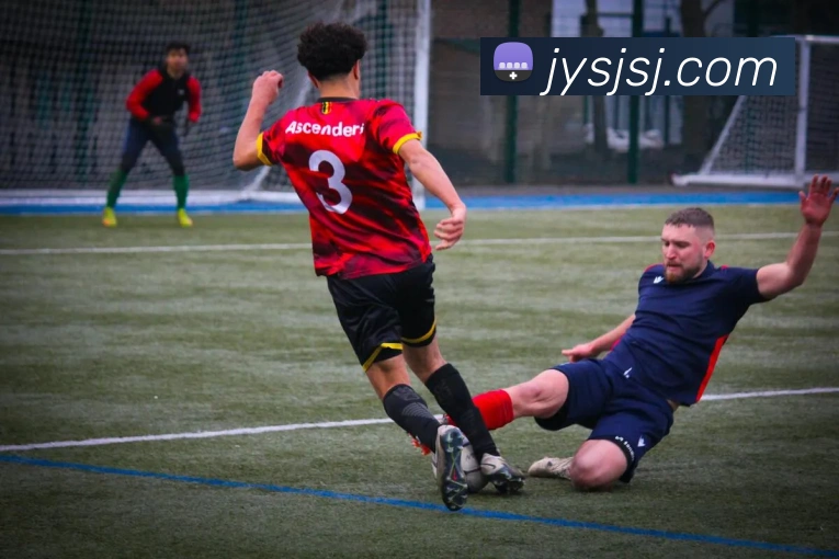 米兰平台生态图